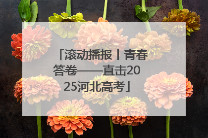 滚动播报丨青春答卷——直击2025河北高考