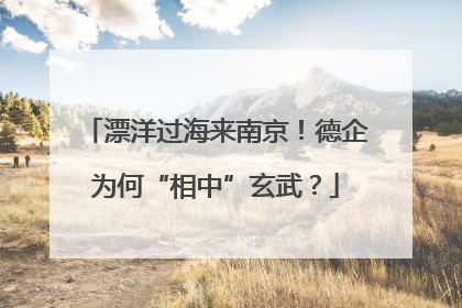 漂洋过海来南京！德企为何“相中”玄武？