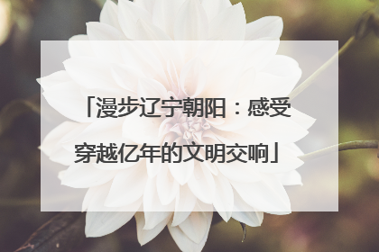 漫步辽宁朝阳：感受穿越亿年的文明交响