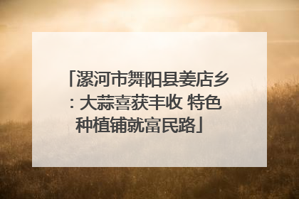 漯河市舞阳县姜店乡：大蒜喜获丰收 特色种植铺就富民路