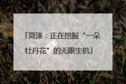 菏泽：正在挖掘“一朵牡丹花”的无限生机