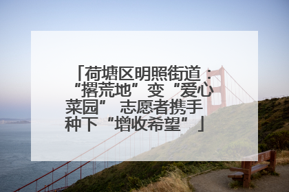 荷塘区明照街道：“撂荒地”变“爱心菜园” 志愿者携手种下“增收希望”