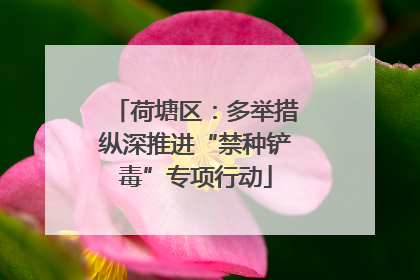 荷塘区：多举措纵深推进“禁种铲毒”专项行动