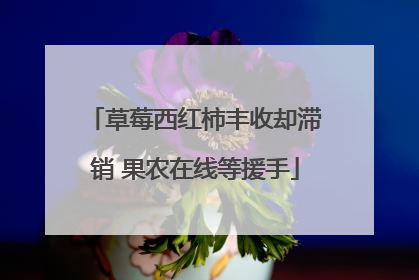 草莓西红柿丰收却滞销 果农在线等援手