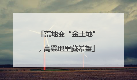 荒地变“金土地”，高粱地里藏希望