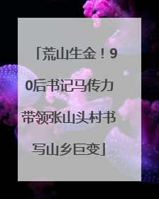 荒山生金！90后书记马传力带领张山头村书写山乡巨变