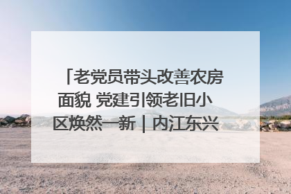 老党员带头改善农房面貌 党建引领老旧小区焕然一新｜内江东兴“红”在哪？④