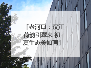 老河口：汉江荷韵引翠来 初夏生态美如画