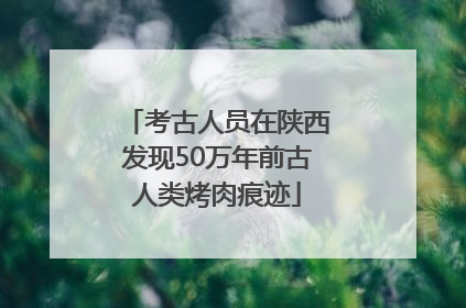 考古人员在陕西发现50万年前古人类烤肉痕迹