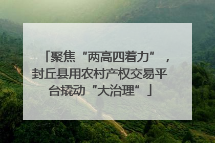 聚焦“两高四着力”，封丘县用农村产权交易平台撬动“大治理”