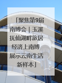 聚焦第9届南博会｜玉溪抚仙湖畔旅居经济上南博 展示云南生活新样本