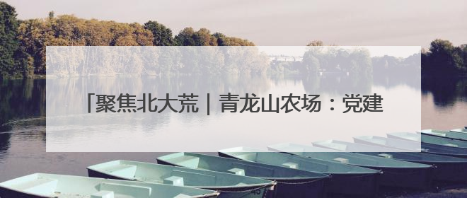 聚焦北大荒｜青龙山农场：党建引领聚合力 为民服务践初心