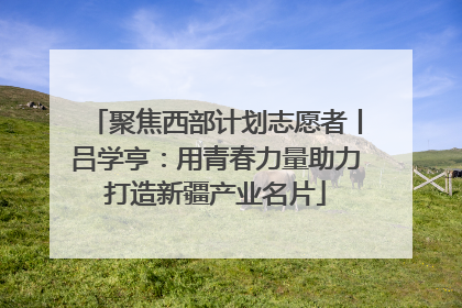 聚焦西部计划志愿者丨吕学亨：用青春力量助力打造新疆产业名片