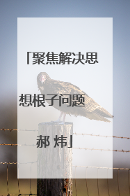 聚焦解决思想根子问题 郝 炜