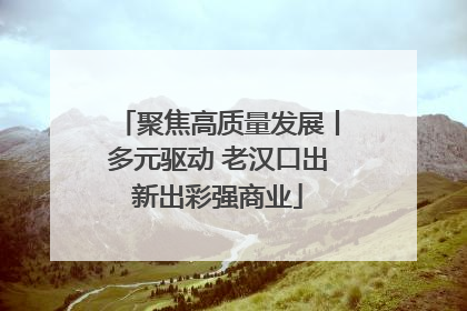 聚焦高质量发展丨多元驱动 老汉口出新出彩强商业