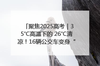 聚焦2025高考｜35℃高温下的 26℃清凉！16辆公交车变身“助考驿站”为高考护航