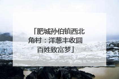 肥城孙伯镇西北角村：洋葱丰收圆百姓致富梦