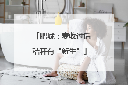 肥城：麦收过后秸秆有“新生”