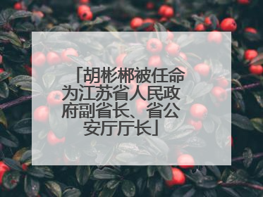 胡彬郴被任命为江苏省人民政府副省长、省公安厅厅长
