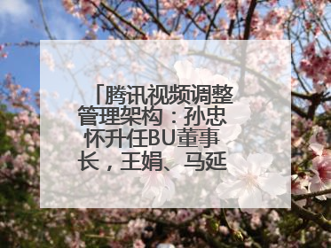 腾讯视频调整管理架构：孙忠怀升任BU董事长，王娟、马延琨任联席总裁