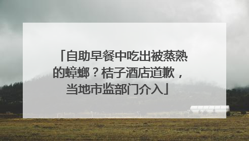 自助早餐中吃出被蒸熟的蟑螂？桔子酒店道歉，当地市监部门介入