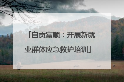 自贡富顺：开展新就业群体应急救护培训