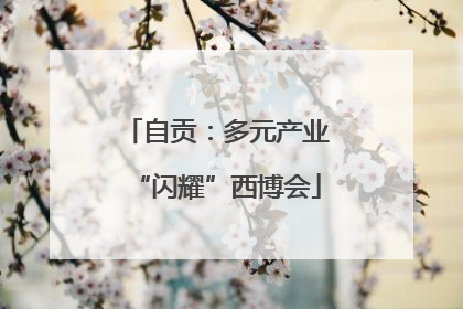 自贡：多元产业“闪耀”西博会