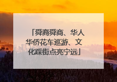 舜裔舜商、华人华侨花车巡游、文化踩街点亮宁远