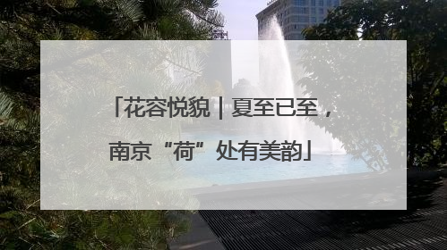 花容悦貌｜夏至已至，南京“荷”处有美韵