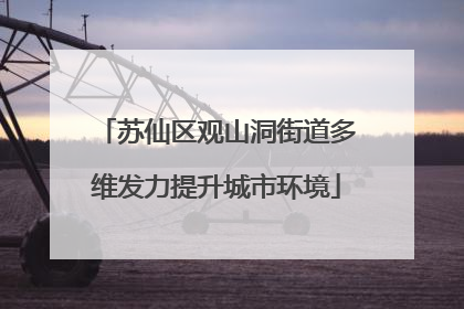 苏仙区观山洞街道多维发力提升城市环境
