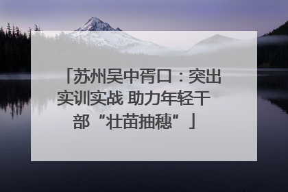 苏州吴中胥口：突出实训实战 助力年轻干部“壮苗抽穗”