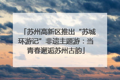 苏州高新区推出“苏城环游记”非遗主题游：当青春邂逅苏州古韵