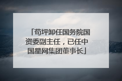 苟坪卸任国务院国资委副主任，已任中国星网集团董事长