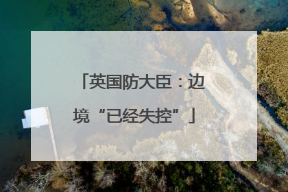 英国防大臣：边境“已经失控”