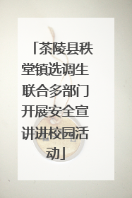 茶陵县秩堂镇选调生联合多部门开展安全宣讲进校园活动