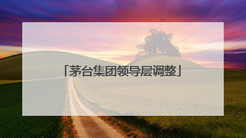 茅台集团领导层调整
