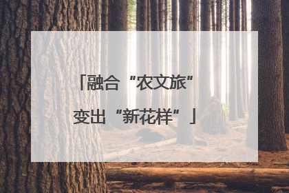 融合“农文旅” 变出“新花样”