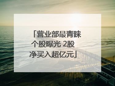营业部最青睐个股曝光 2股净买入超亿元