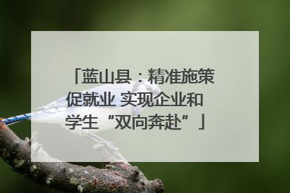 蓝山县：精准施策促就业 实现企业和学生“双向奔赴”