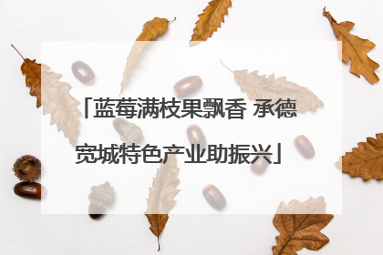 蓝莓满枝果飘香 承德宽城特色产业助振兴