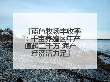 蓝色牧场丰收季：千亩养殖区年产值超三千万 海产经济活力足
