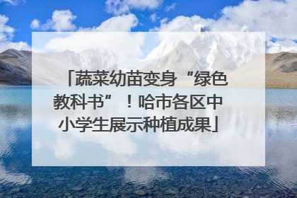 蔬菜幼苗变身“绿色教科书”！哈市各区中小学生展示种植成果