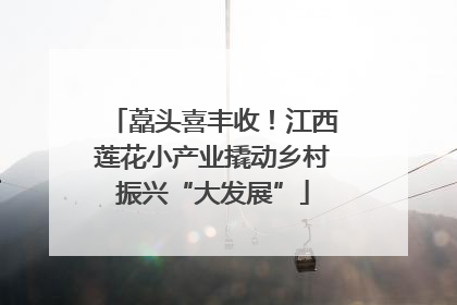 藠头喜丰收！江西莲花小产业撬动乡村振兴“大发展”