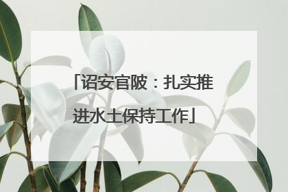 诏安官陂：扎实推进水土保持工作