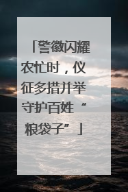 警徽闪耀农忙时，仪征多措并举守护百姓“粮袋子”
