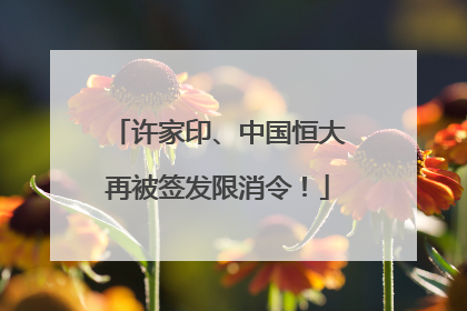 许家印、中国恒大再被签发限消令！