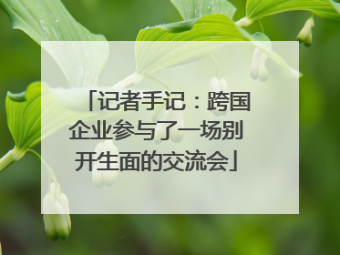 记者手记：跨国企业参与了一场别开生面的交流会
