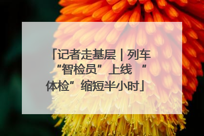 记者走基层｜列车“智检员”上线 “体检”缩短半小时