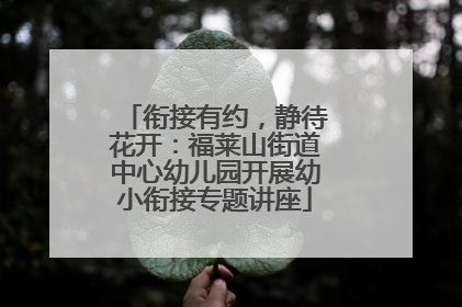 衔接有约，静待花开：福莱山街道中心幼儿园开展幼小衔接专题讲座