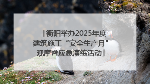 衡阳举办2025年度建筑施工“安全生产月”观摩暨应急演练活动
